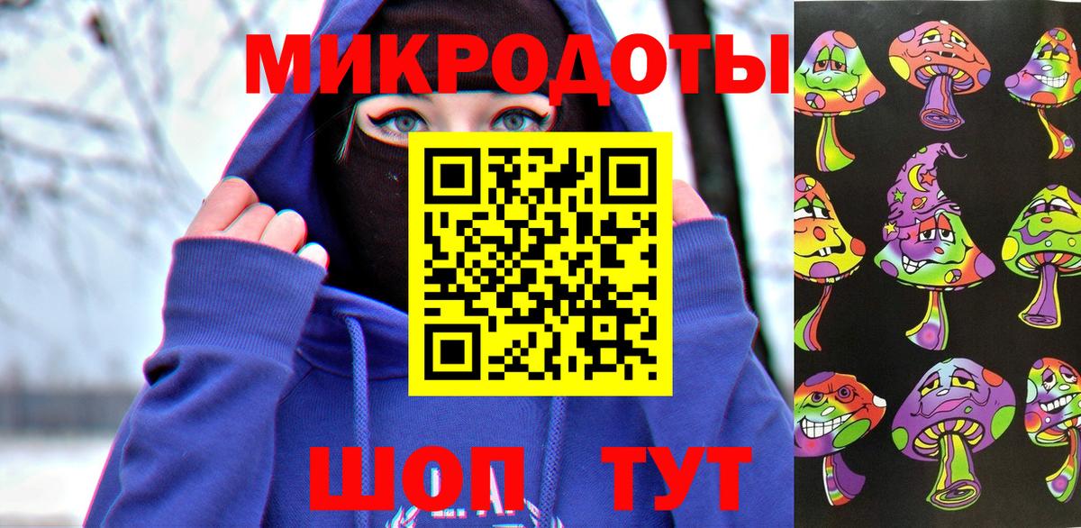 Галлюциногенные грибы Psilocybe Бор