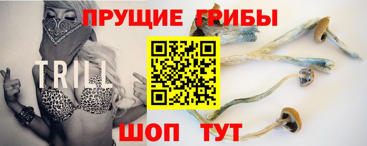 Бор  Галлюциногенные грибы MAGIC MUSHROOMS  Вход с VPN 